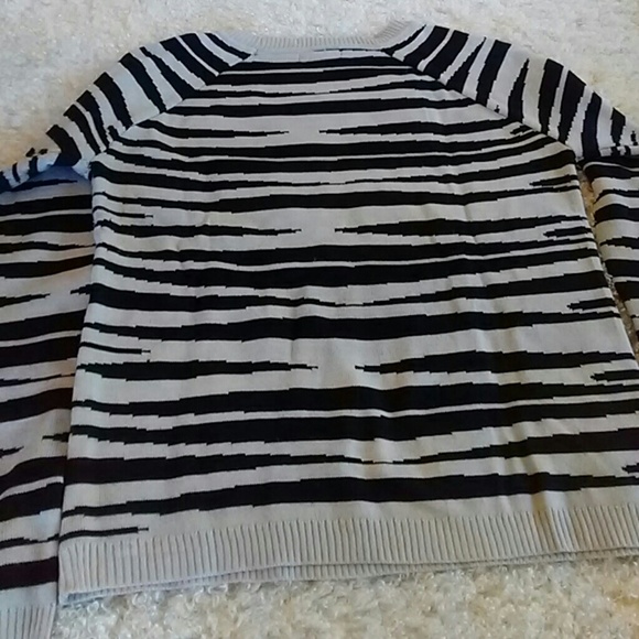 Zebra Stripe Crew Neck Sweater - Picture 3 of 5